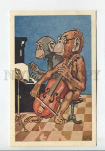 440003 Life MONKEY profession Job Musician CELLO CELLIST Vintage postcard