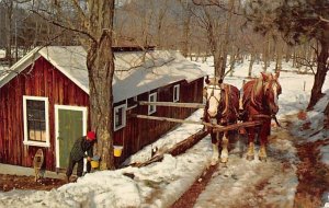 Sap buckets near the sugarhouse Maple Sugar Syrup Unused 