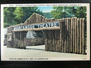 Vintage Postcard 1930-1945 Mountainside Theatre, Indian Res. Cherokee (NC)