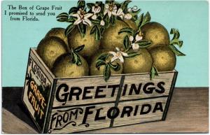 Postcard Greetings From Florida The Box Of Grapefruit I Promised To Send You A33