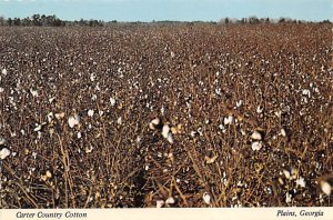 Carter County Cotton, Plains, Georgia  