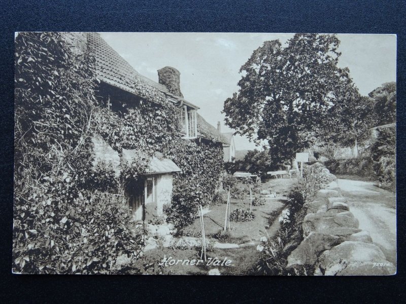 Somerset Porlock HORNER VALE c1923 Postcard by Frith