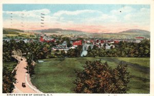 Vintage Postcard 1916 Bird's Eye View Oneonta New York NY Chas W. Hughes Pub.