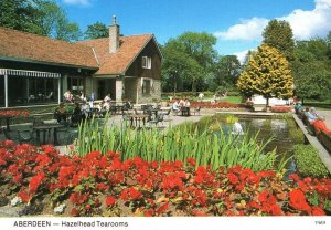 Aberdeen Hazelhead Tearooms Postcard