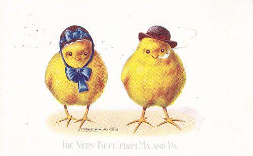 bird smoking cigarette Bird Bowler Hat Yelllow Chick Smoking A Pipe Cigarette Antique Humour  Postcard | Topics