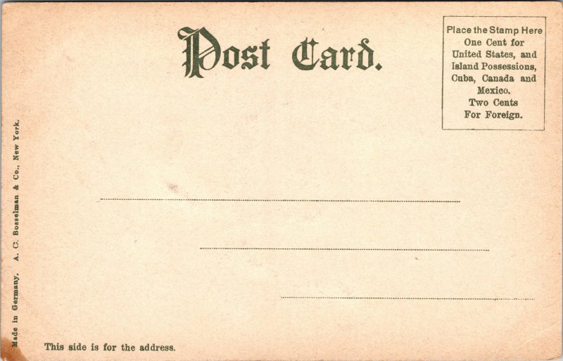 Postcard RI Newport The Stone Arch on the Cliffs