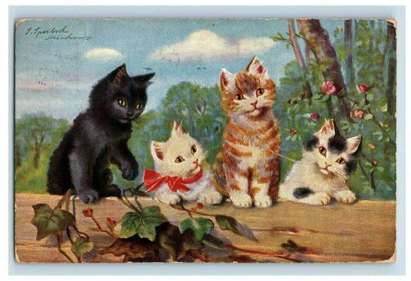 C.1907 Sophie Sperlich Adorable Cats Kitten Moon German Postcard F82