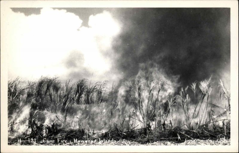 Hawaii Hawaiian Islands Pre State Cane Fire Real Photo Vintage Postcard