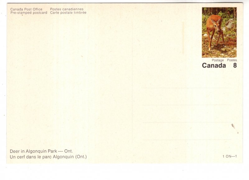 Postal Stationery Canada, Deer in Algonquin Park, Ontario