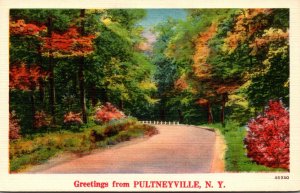 New York Greetings From Pultneyville