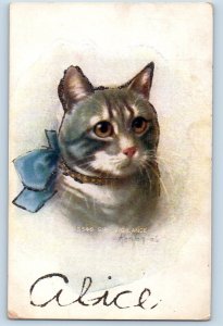 Kenyon Artist Signed Postcard Cat Kitten Glitter With Bow Grantsburg Wisconsin