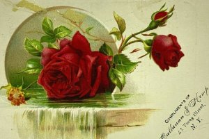 1880s Callanan Kemp Grocer Tea New York Sunday Democrat Poem Red Rose Waterfall