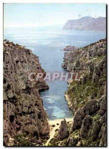 Modern Postcard A Rose Boutanniere the Provence Cassis Sea cove of En Vau