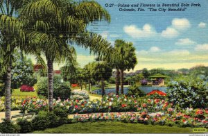 Florida Orlando Palm and Flowers In Beautiful Eola Park 1951 Curteich