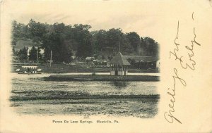 Buffalo 1907 Ponce De Leon Springs Meadville Pennsylvania A-1672 Postcard 21-18