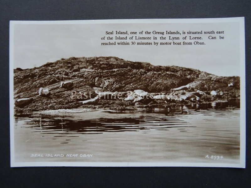 Scotland SEAL ISLAND nr OBAN Greag Islands c1939 RP Postcard by Valentine A8994