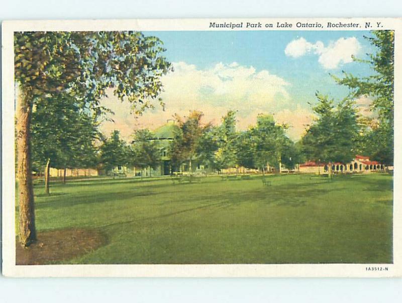 Unused Linen PARK SCENE Rochester New York NY hk6343