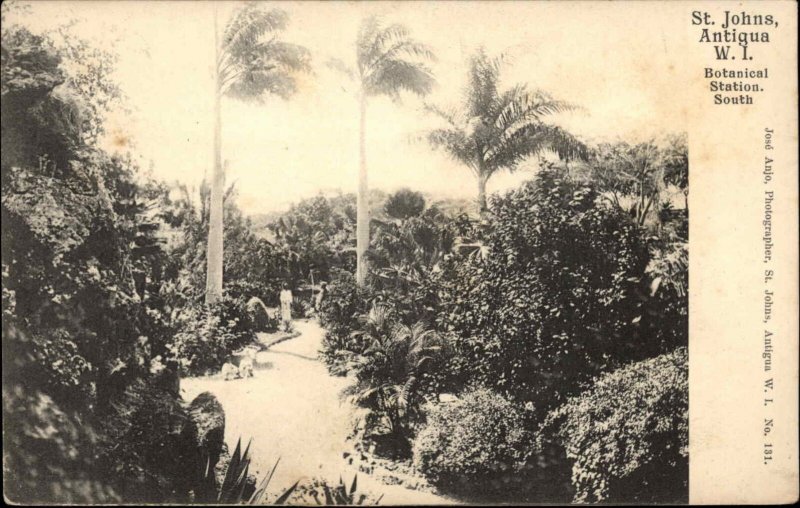 St. Johns Antigua West Indies Botanical Station Garden South c1910 Postcard