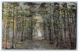 c1910 Scenic View Lovers Lane Roaring Brook Michigan MI Vintage Antique Postcard