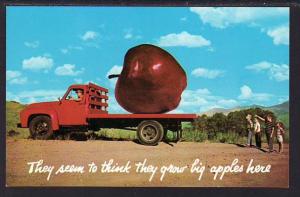 Exaggerated Apple on Truck Post Card 5076