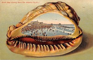 Beach View showing Heinz Pier Atlantic City, NJ, USA Shells PU 1908 