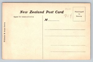 White Terraces   New Zealand      Postcard