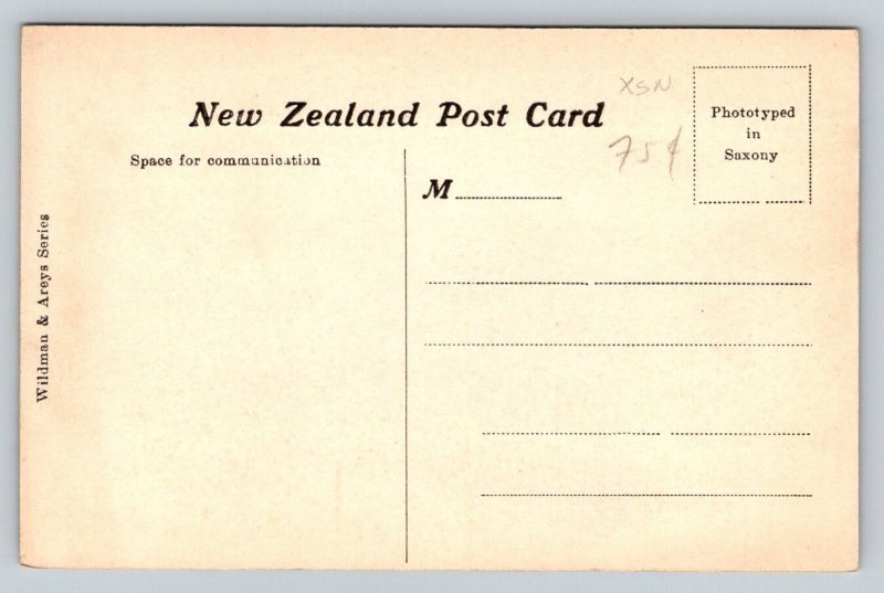 White Terraces   New Zealand      Postcard