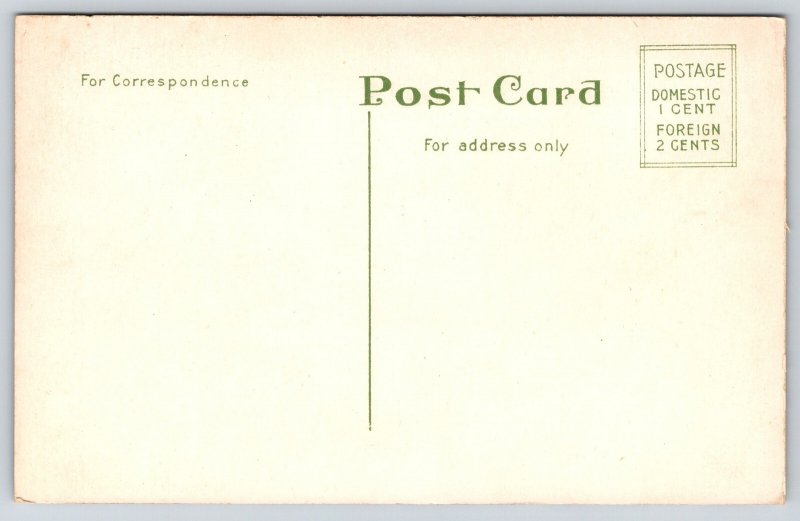 Lewiston New York~Boat Landing~Excursion Steamer Docks~c1910 Postcard