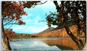 M-42392 Lake O'Law on Route 19 Between Baddeck and Margaree Valley Nova Scoti...