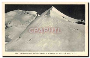 Old Postcard The Bosses of Camel and the summit of Mont Blanc