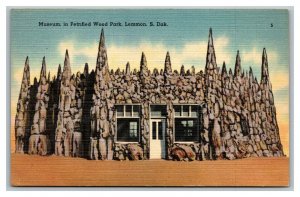 Vintage 1940's Postcard Museum of Petrified Wood Park Lemmon South Dakota