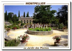 Postcard Modern Montpellier Le Jardin des Plantes