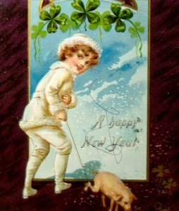 Victorian Child With Pig New Year Postcard Tucks Series 113 Toronto 1907 Antique