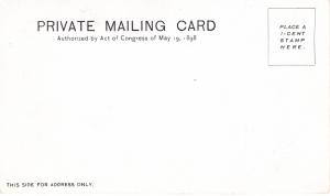 Private Mailing Card, 1898-1901, Indian Runner