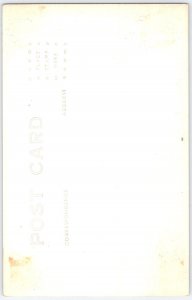 Vintage California Coast RPPC Postcard 'The Seal' by Bendor Scenic Rock