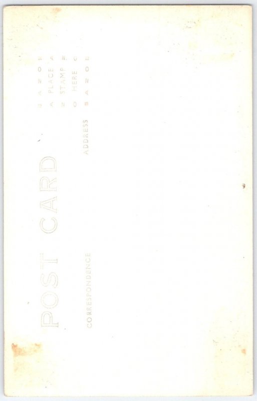 Vintage California Coast RPPC Postcard 'The Seal' by Bendor Scenic Rock