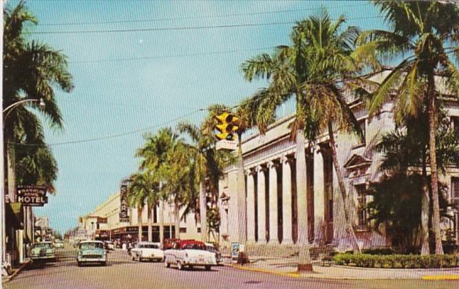 Florida Fort Myers Royal Palms In Front Of Out Door Post Office On First Street