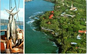 KAILUA-KONA, HI Hawaii   BIRDSEYE VIEW & GAME FISH   1982     Postcard