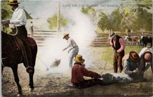 Life on the Plains Calf Branding Ranchers Ranching USA Raphael Tuck Postcard H54