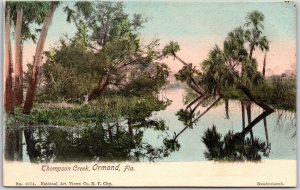 Thompson Creek Ormond Florida FL Attractions Antique Hand-Colored Postcard