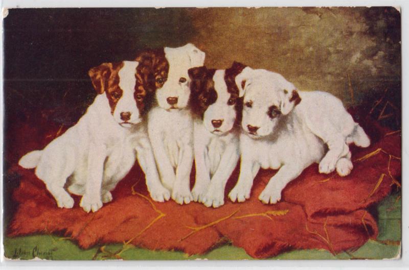 Puppies - Artist Signed