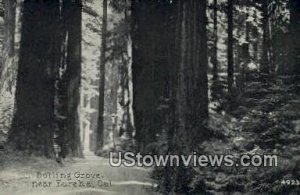 Bolling Grove - Eureka, CA