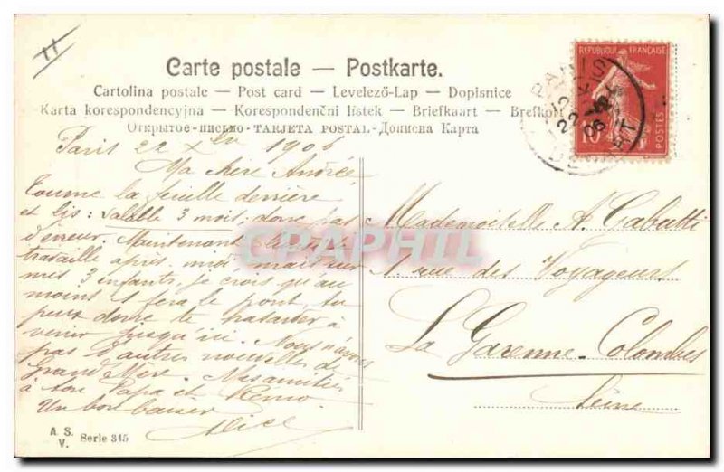 Postcard Old Female Dog Fancy