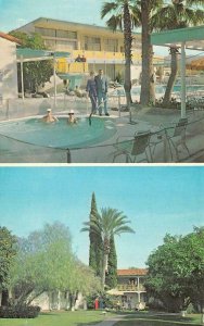 PALM SPRINGS, California CA   PEPPER TREE INN MOTEL  Hot Tub  ROADSIDE Postcard