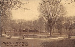 J4/ Clifton Springs New York Postcard c1910 Fish Pond Back Park  192