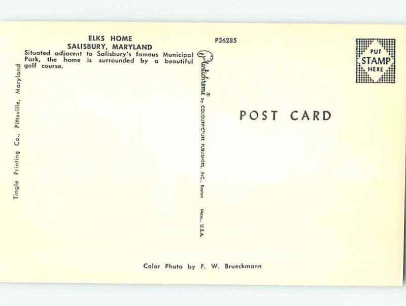 Chrome GOLF SCENE Salisbury Maryland MD AG5691