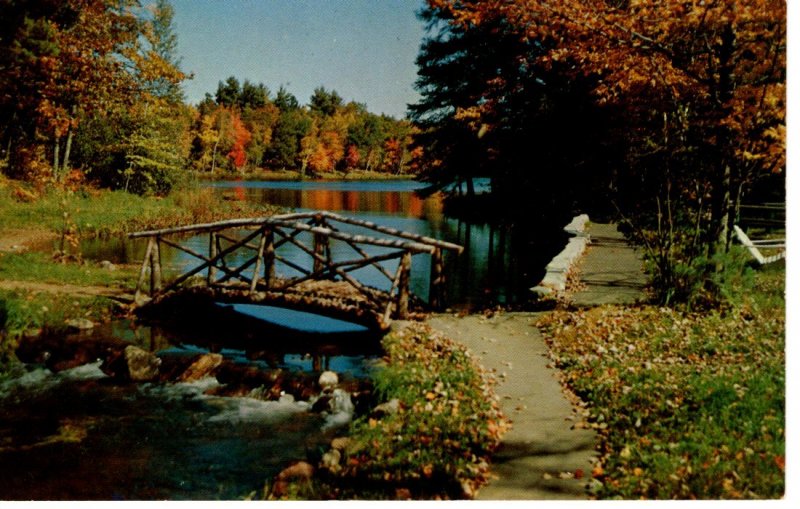 Vintage Postcard- Kalkaska Michigan MI Rustic Bridge over Rapid River