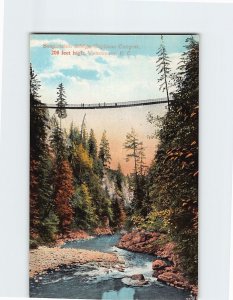 M-198916 Suspension Bridge Capilano Canyon Vancouver British Columbia Canada