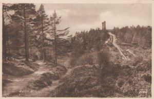 Surrey Postcard - View of Leith Hill   RS21713