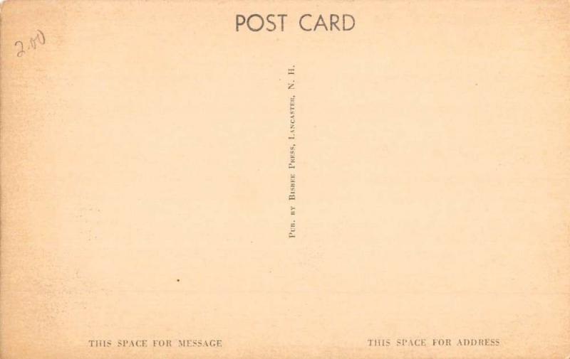 Intervale New Hampshire Castner Camps Multiview Antique Postcard K97081